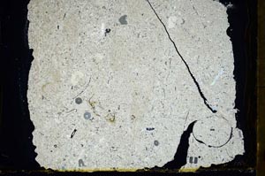 Cross Polarized, S34535