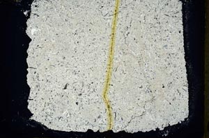 Cross Polarized, S34536