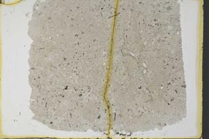 Plane Polarized, S34536