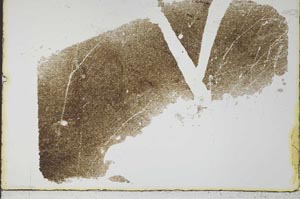 Plane Polarized, S34537