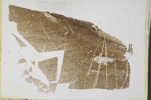 Plane Polarized, S34539