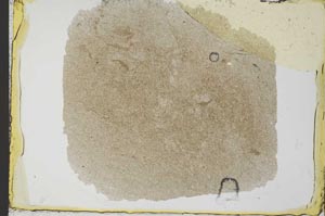 Plane Polarized, S34549