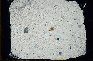 Cross Polarized, S34551