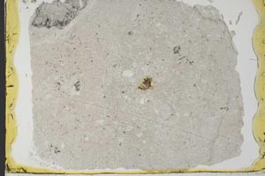 Plane Polarized, S34551