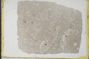 Plane Polarized, S34552