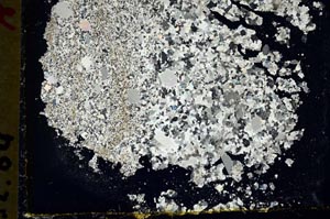 Cross Polarized, S34553