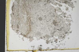 Plane Polarized, S34553