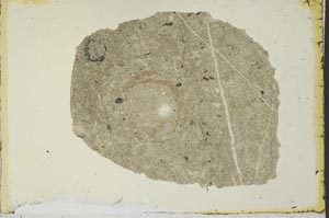 Plane Polarized, S34554