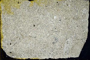 Cross Polarized, S34556