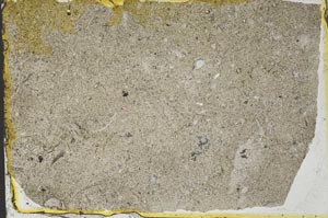 Plane Polarized, S34556