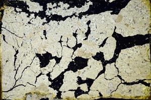 Cross Polarized, S34557