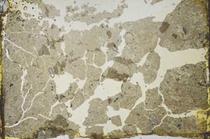 Plane Polarized, S34557