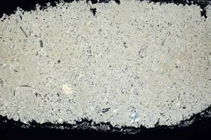 Cross Polarized, S34557/A