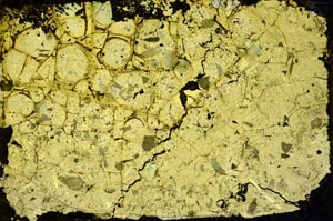 Cross Polarized, S34564