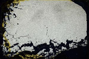 Cross Polarized, S34566