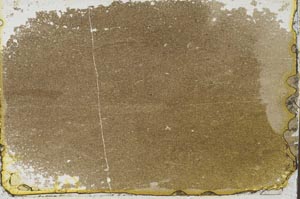 Plane Polarized, S34567