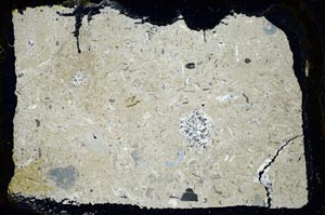 Cross Polarized, S34570