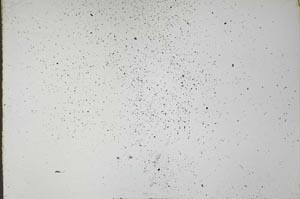 Plane Polarized, S34595/A