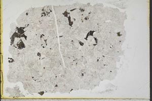 Plane Polarized, S34601
