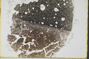 Plane Polarized, S34620/A