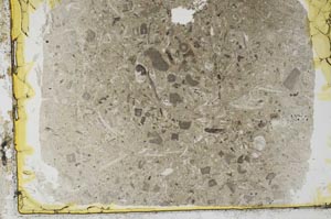 Plane Polarized, S34621