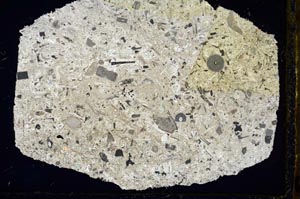 Cross Polarized, S34621/A