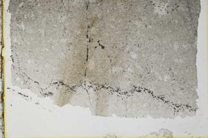 Plane Polarized, S34633