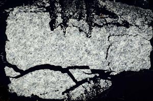 Cross Polarized, S34638