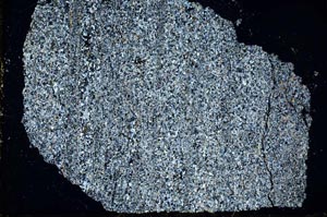 Cross Polarized, S34647