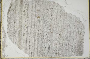 Plane Polarized, S34647