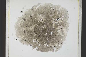 Plane Polarized, S34661