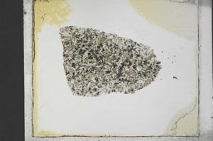 Plane Polarized, S34703