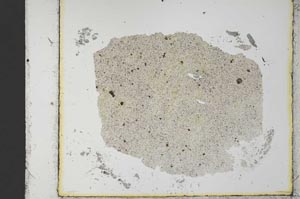 Plane Polarized, S34745