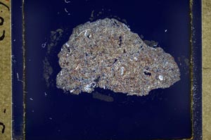 Cross Polarized, S34746