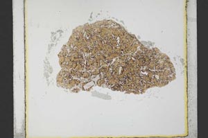 Plane Polarized, S34746