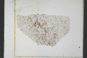 Plane Polarized, S34762