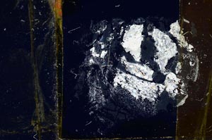 Cross Polarized, S34765