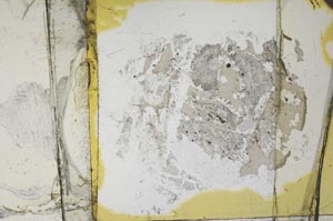 Plane Polarized, S34765