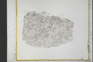 Plane Polarized, S34769