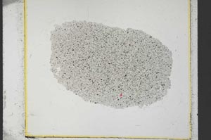 Plane Polarized, S34793