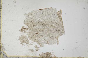 Plane Polarized, S34798