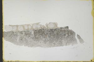 Plane Polarized, S34820