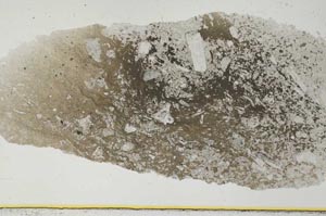 Plane Polarized, S34825