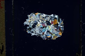 Cross Polarized, S34834