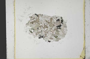 Plane Polarized, S34834