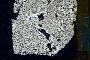 Cross Polarized, S34840