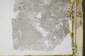 Plane Polarized, S34840