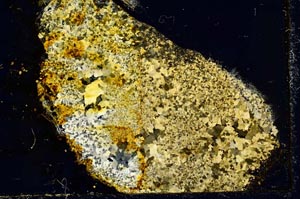 Cross Polarized, S34840/A