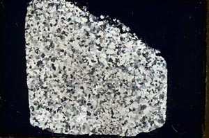 Cross Polarized, S34841