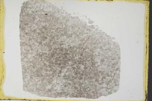 Plane Polarized, S34841